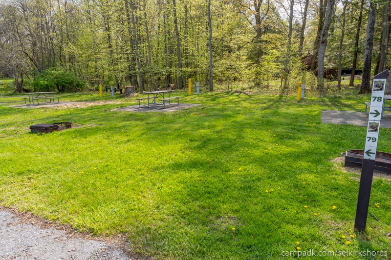 Campsite Photo of Site 79 at Selkirk Shores State Park, New York - Looking at Site from Road Sign Visible
