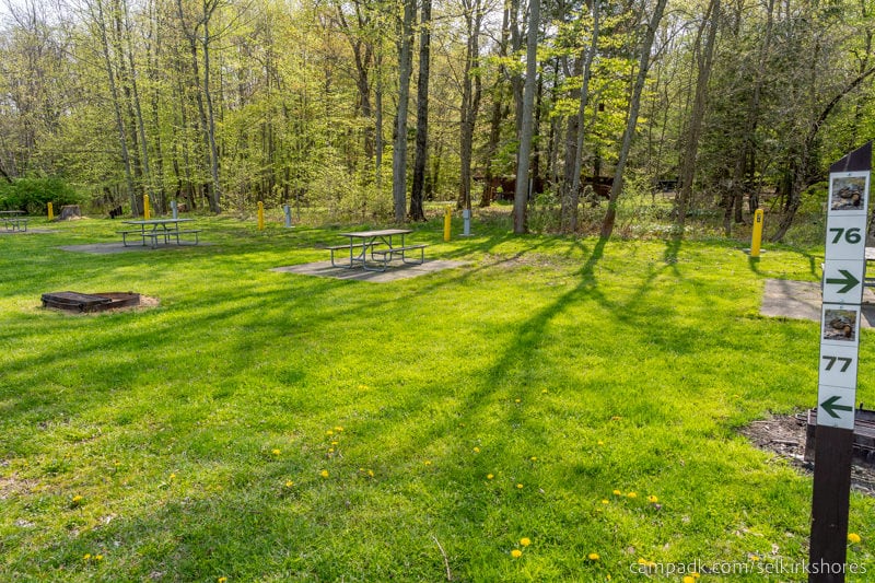 Campsite Photo of Site 77 at Selkirk Shores State Park, New York - Looking at Site from Road Sign Visible