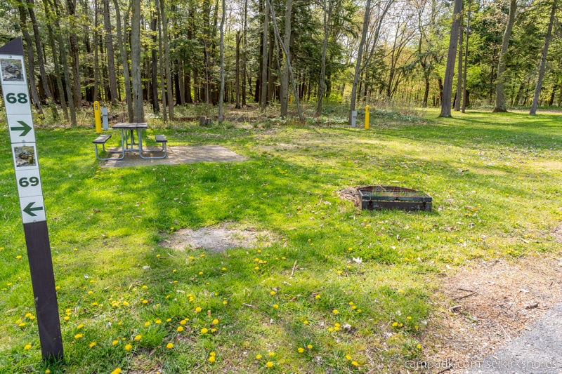 Campsite Photo of Site 68 at Selkirk Shores State Park, New York - Looking at Site from Road Sign Visible
