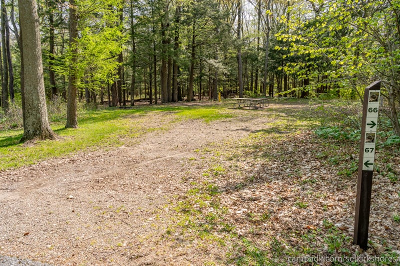 Campsite Photo of Site 67 at Selkirk Shores State Park, New York - Looking at Site from Road Sign Visible