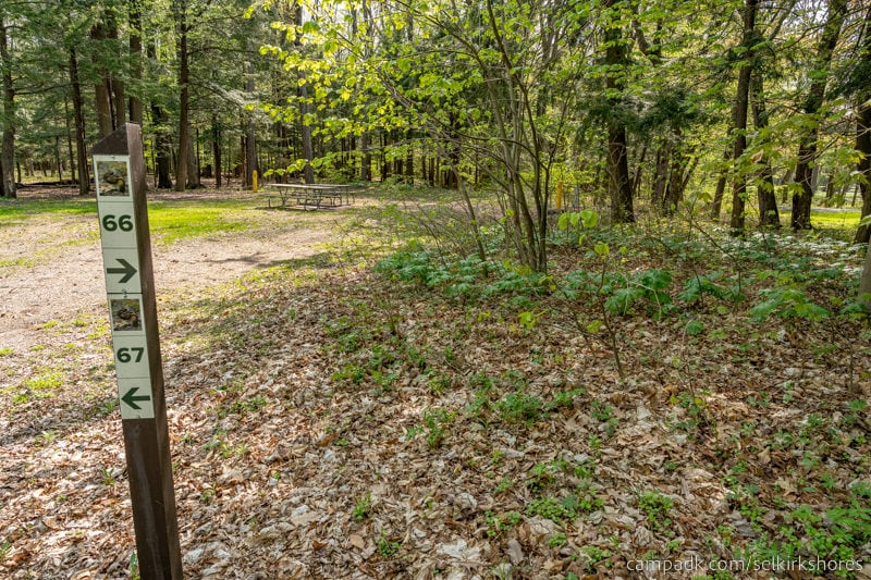 Campsite Photo of Site 66 at Selkirk Shores State Park, New York - Looking at Site from Road Sign Visible