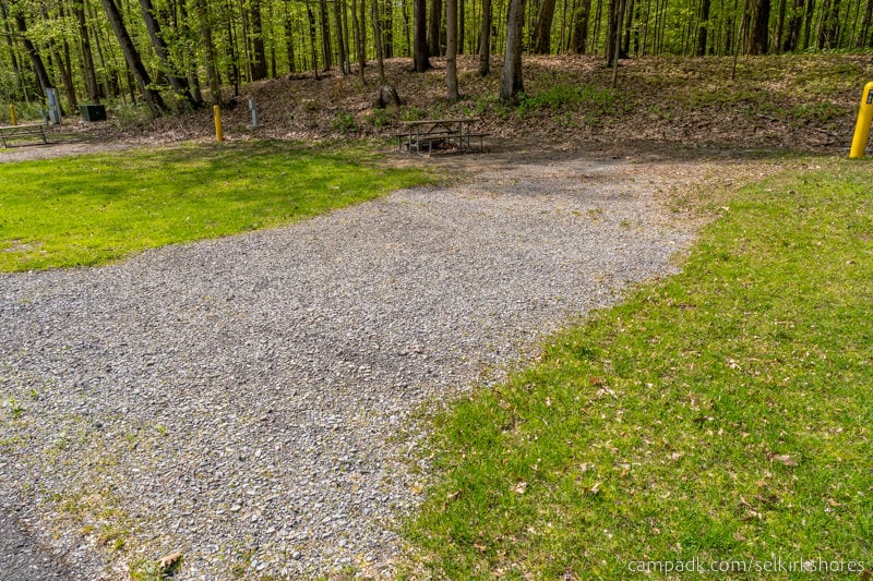Campsite Photo of Site 49 at Selkirk Shores State Park, New York - Looking at Site from Road Sign Visible