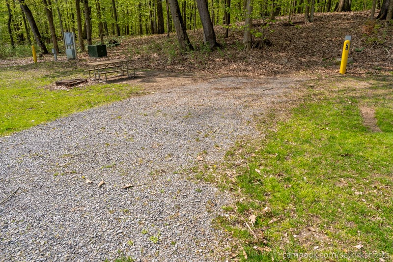 Campsite Photo of Site 50 at Selkirk Shores State Park, New York - Looking at Site from Road Sign Visible