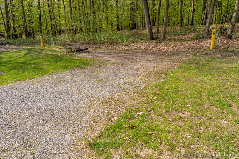 Campsite Photo of Site 51 at Selkirk Shores State Park, New York - Looking at Site from Road Sign Visible