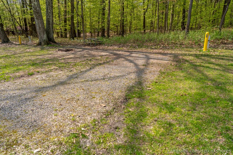 Campsite Photo of Site 52 at Selkirk Shores State Park, New York - Looking at Site from Road Sign Visible