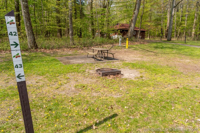 Campsite Photo of Site 42 at Selkirk Shores State Park, New York - Looking at Site from Road Sign Visible