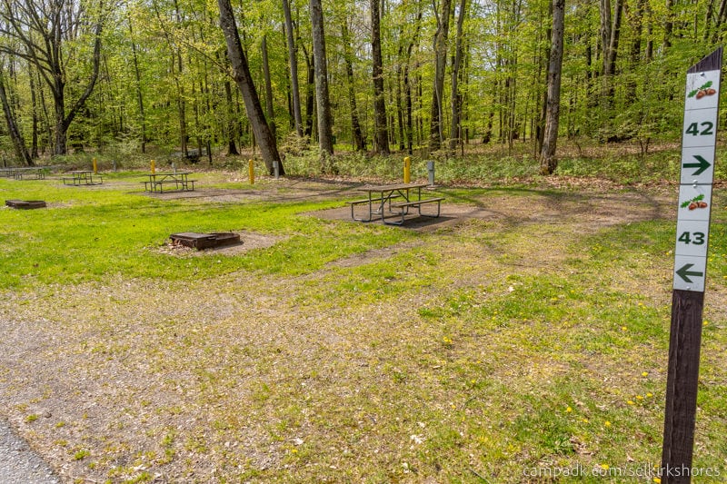Campsite Photo of Site 43 at Selkirk Shores State Park, New York - Looking at Site from Road Sign Visible