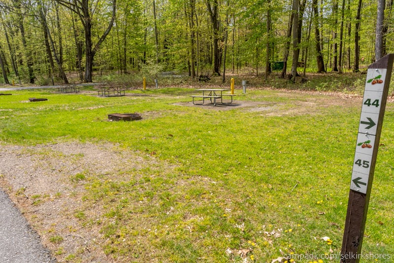 Campsite Photo of Site 45 at Selkirk Shores State Park, New York - Looking at Site from Road Sign Visible