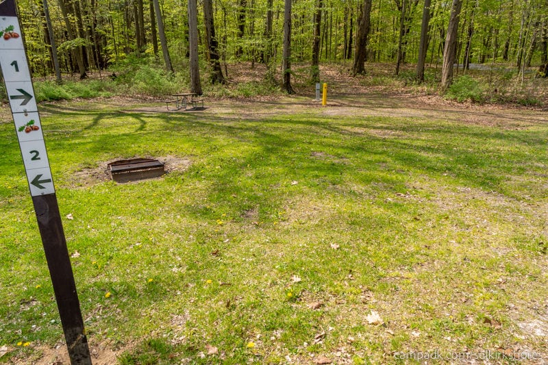 Campsite Photo of Site 1 at Selkirk Shores State Park, New York - Looking at Site from Road Sign Visible
