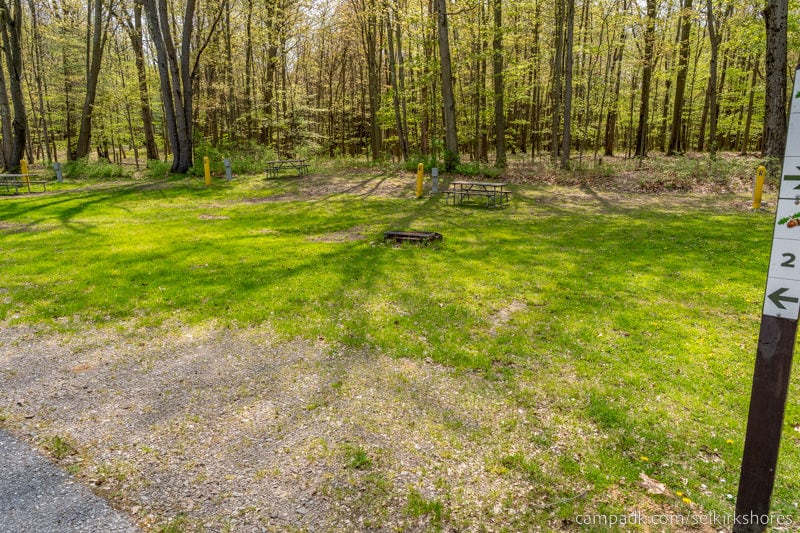 Campsite Photo of Site 2 at Selkirk Shores State Park, New York - Looking at Site from Road Sign Visible