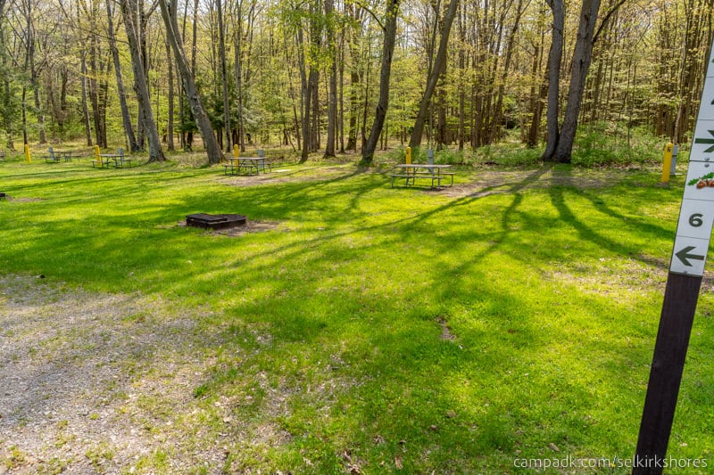 Campsite Photo of Site 6 at Selkirk Shores State Park, New York - Looking at Site from Road Sign Visible