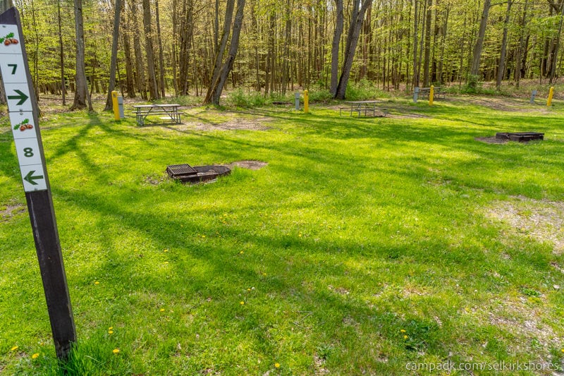 Campsite Photo of Site 7 at Selkirk Shores State Park, New York - Looking at Site from Road Sign Visible