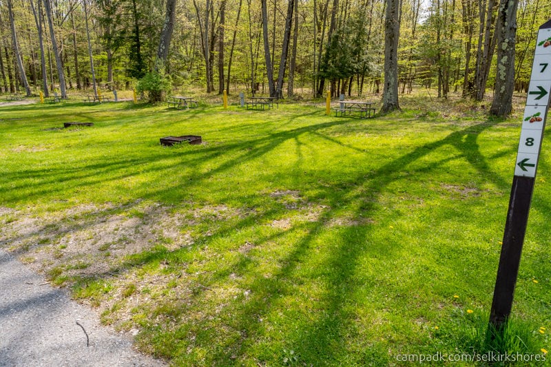 Campsite Photo of Site 8 at Selkirk Shores State Park, New York - Looking at Site from Road Sign Visible