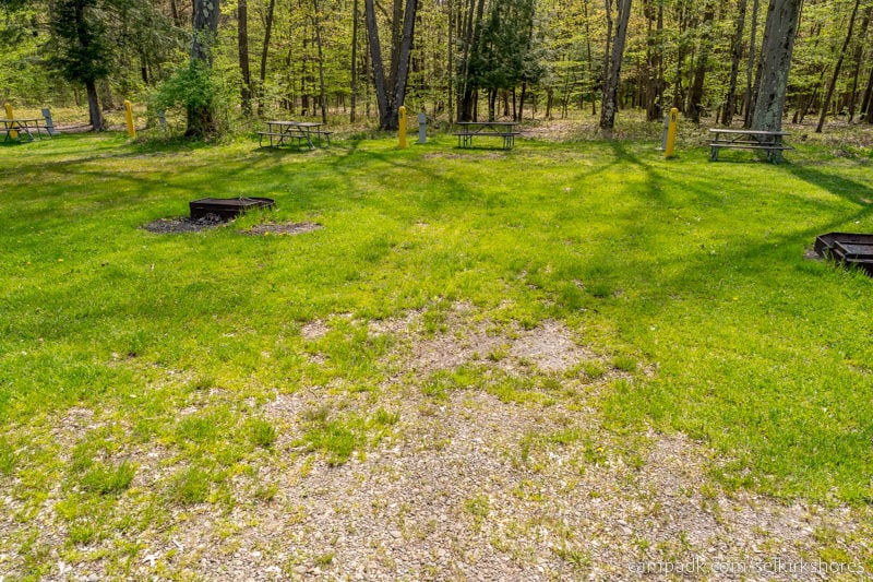 Campsite Photo of Site 10 at Selkirk Shores State Park, New York - Looking at Site from Road Sign Visible