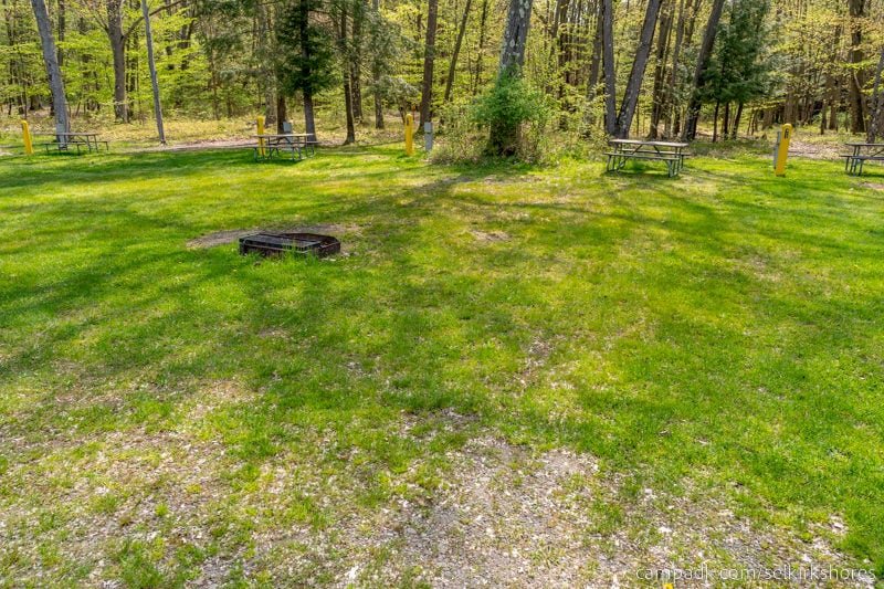 Campsite Photo of Site 12 at Selkirk Shores State Park, New York - Looking at Site from Road Sign Visible
