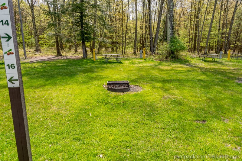 Campsite Photo of Site 14 at Selkirk Shores State Park, New York - Looking at Site from Road Sign Visible