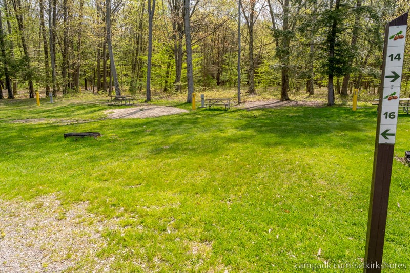 Campsite Photo of Site 16 at Selkirk Shores State Park, New York - Looking at Site from Road Sign Visible