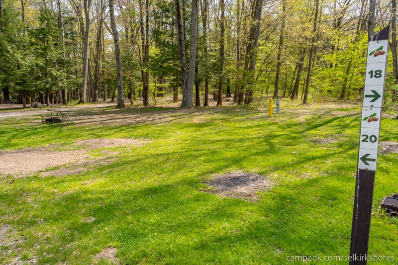Campsite Photo of Site 20 at Selkirk Shores State Park, New York - Looking at Site from Road Sign Visible