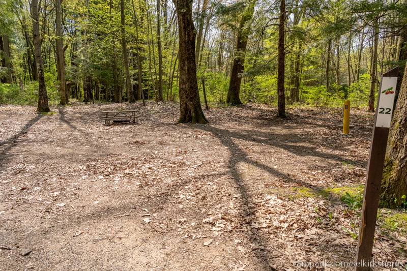 Campsite Photo of Site 22 at Selkirk Shores State Park, New York - Looking at Site from Road Sign Visible