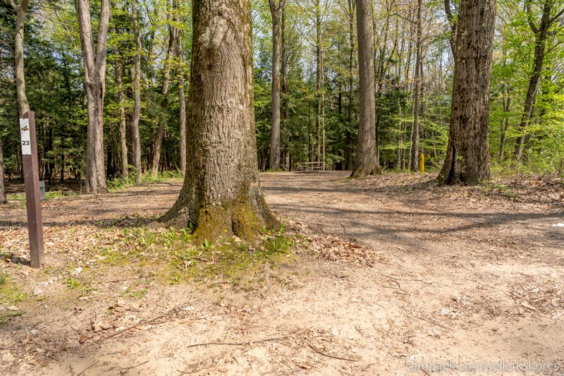 Campsite Photo of Site 23 at Selkirk Shores State Park, New York - Looking at Site from Road Sign Visible
