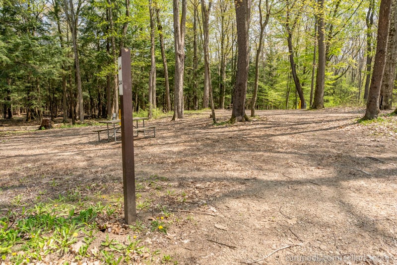 Campsite Photo of Site 24 at Selkirk Shores State Park, New York - Looking at Site from Road Sign Visible