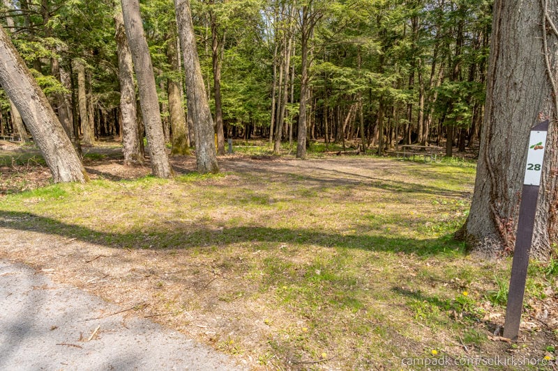 Campsite Photo of Site 28 at Selkirk Shores State Park, New York - Looking at Site from Road Sign Visible