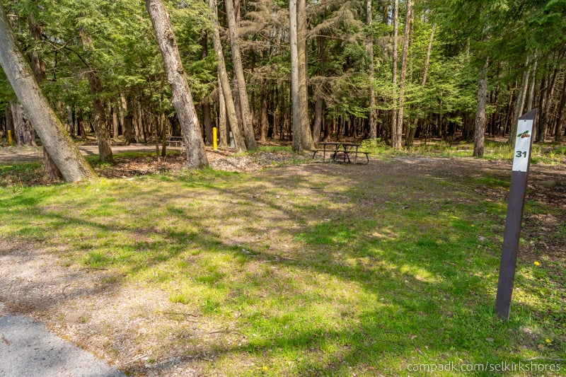 Campsite Photo of Site 31 at Selkirk Shores State Park, New York - Looking at Site from Road Sign Visible