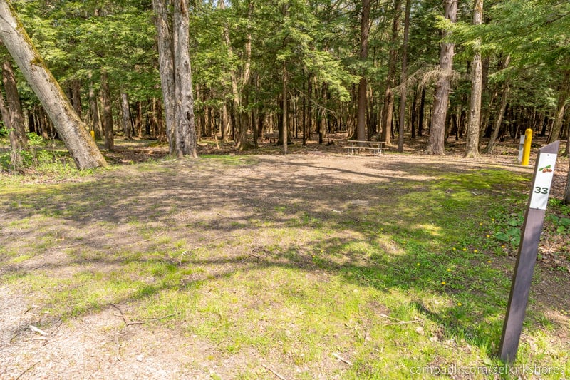 Campsite Photo of Site 33 at Selkirk Shores State Park, New York - Looking at Site from Road Sign Visible