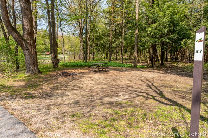 Campsite Photo of Site 37 at Selkirk Shores State Park, New York - Looking at Site from Road Sign Visible
