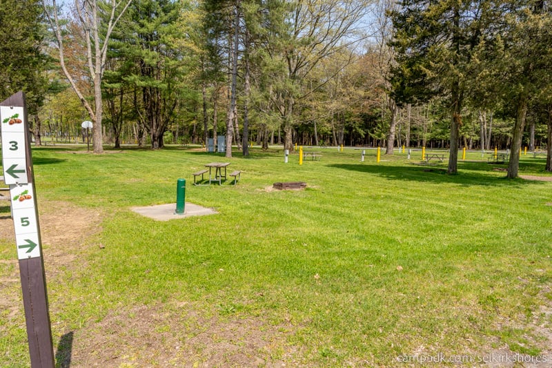 Campsite Photo of Site 5 at Selkirk Shores State Park, New York - Looking at Site from Road Sign Visible