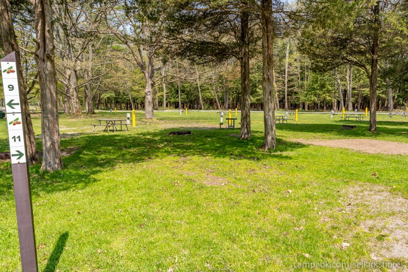 Campsite Photo of Site 11 at Selkirk Shores State Park, New York - Looking at Site from Road Sign Visible
