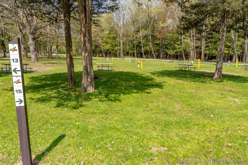 Campsite Photo of Site 15 at Selkirk Shores State Park, New York - Looking at Site from Road Sign Visible