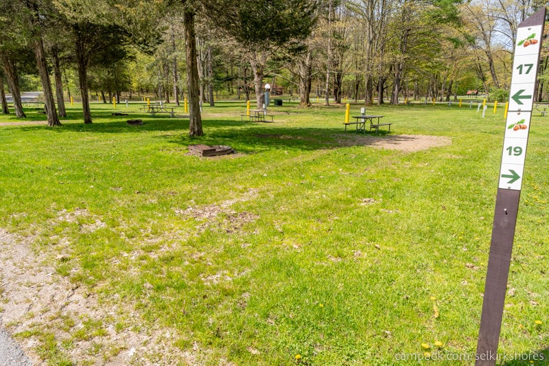 Campsite Photo of Site 17 at Selkirk Shores State Park, New York - Looking at Site from Road Sign Visible