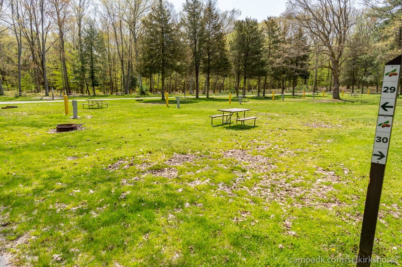 Campsite Photo of Site 29 at Selkirk Shores State Park, New York - Looking at Site from Road Sign Visible