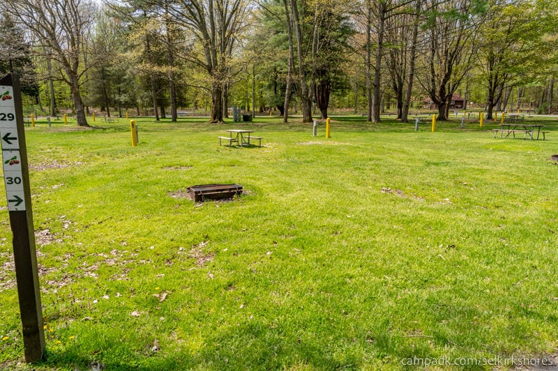 Campsite Photo of Site 30 at Selkirk Shores State Park, New York - Looking at Site from Road Sign Visible