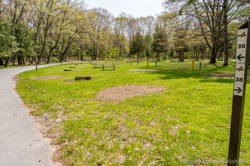 Campsite Photo of Site 36 at Selkirk Shores State Park, New York - Looking at Site from Road Sign Visible