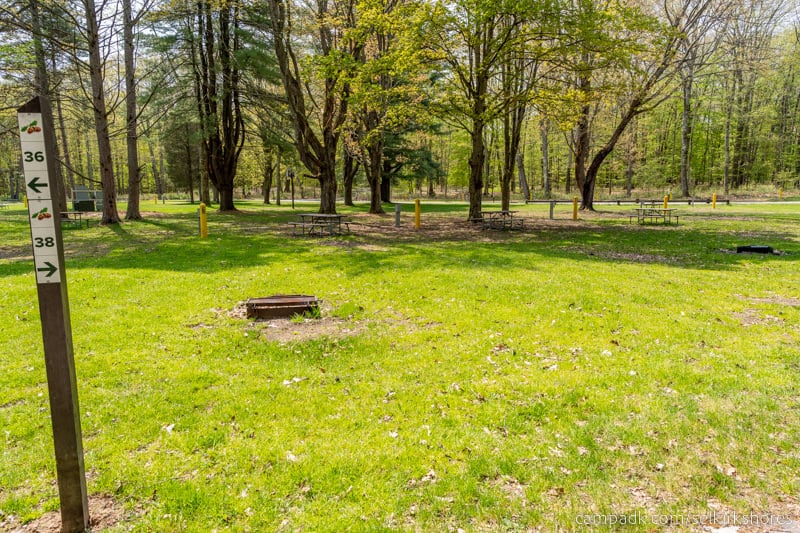 Campsite Photo of Site 38 at Selkirk Shores State Park, New York - Looking at Site from Road Sign Visible