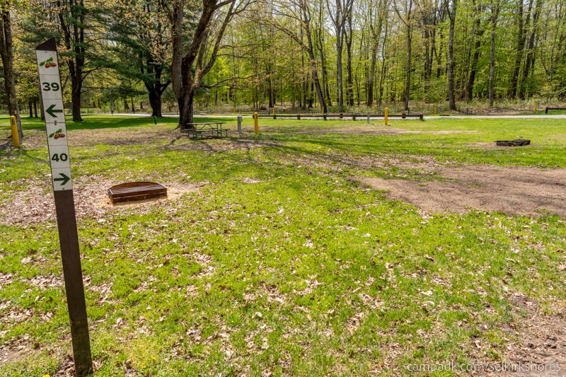 Campsite Photo of Site 40 at Selkirk Shores State Park, New York - Looking at Site from Road Sign Visible