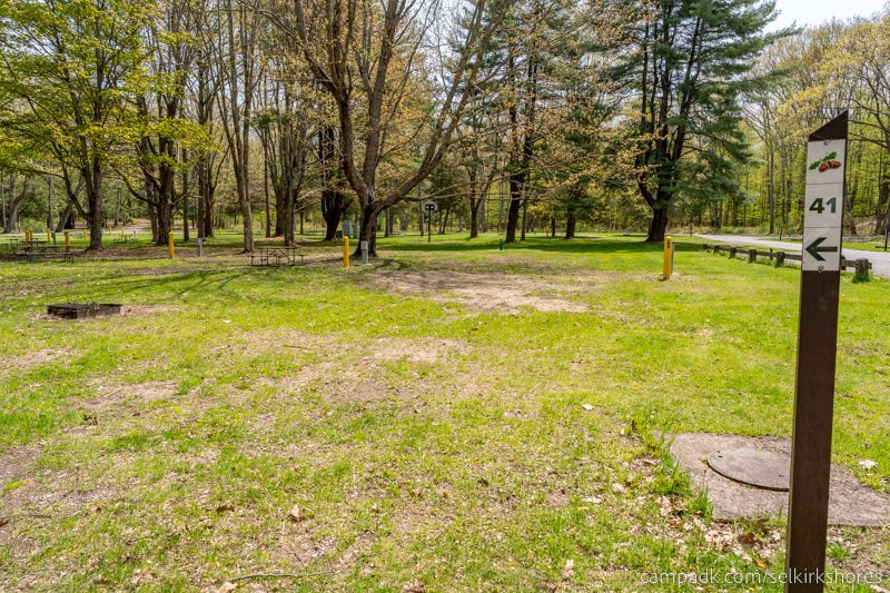 Campsite Photo of Site 41 at Selkirk Shores State Park, New York - Looking at Site from Road Sign Visible