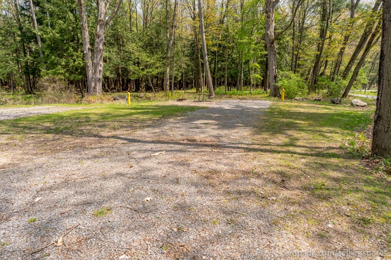 Campsite Photo of Site 55 at Selkirk Shores State Park, New York - Looking at Site from Road Sign Visible