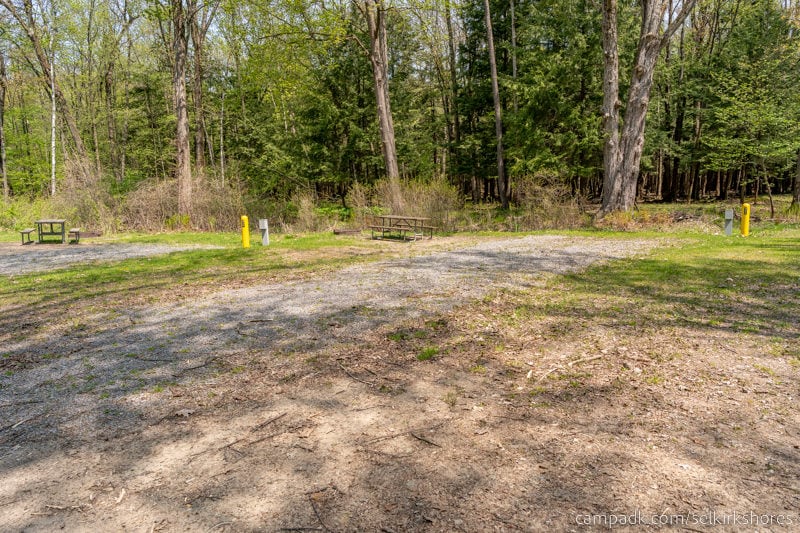 Campsite Photo of Site 56 at Selkirk Shores State Park, New York - Looking at Site from Road Sign Visible