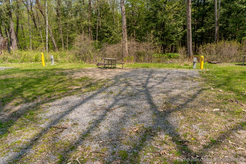 Campsite Photo of Site 57 at Selkirk Shores State Park, New York - Looking at Site from Road Sign Visible