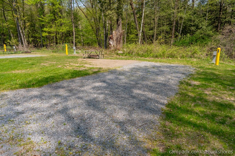 Campsite Photo of Site 58 at Selkirk Shores State Park, New York - Looking at Site from Road Sign Visible
