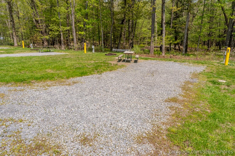 Campsite Photo of Site 60 at Selkirk Shores State Park, New York - Looking at Site from Road Sign Visible