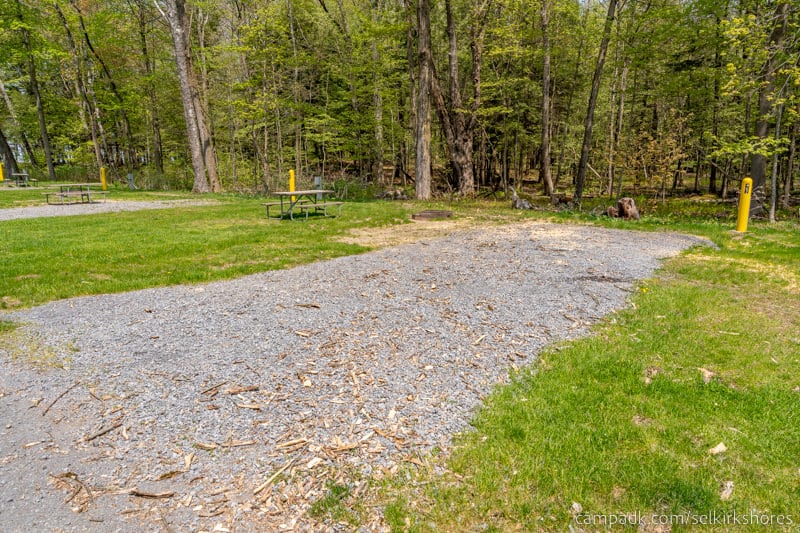 Campsite Photo of Site 62 at Selkirk Shores State Park, New York - Looking at Site from Road Sign Visible