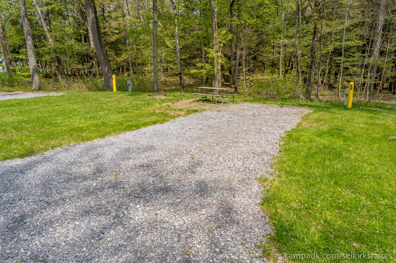 Campsite Photo of Site 64 at Selkirk Shores State Park, New York - Looking at Site from Road Sign Visible