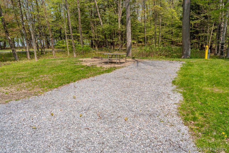 Campsite Photo of Site 65 at Selkirk Shores State Park, New York - Looking at Site from Road Sign Visible