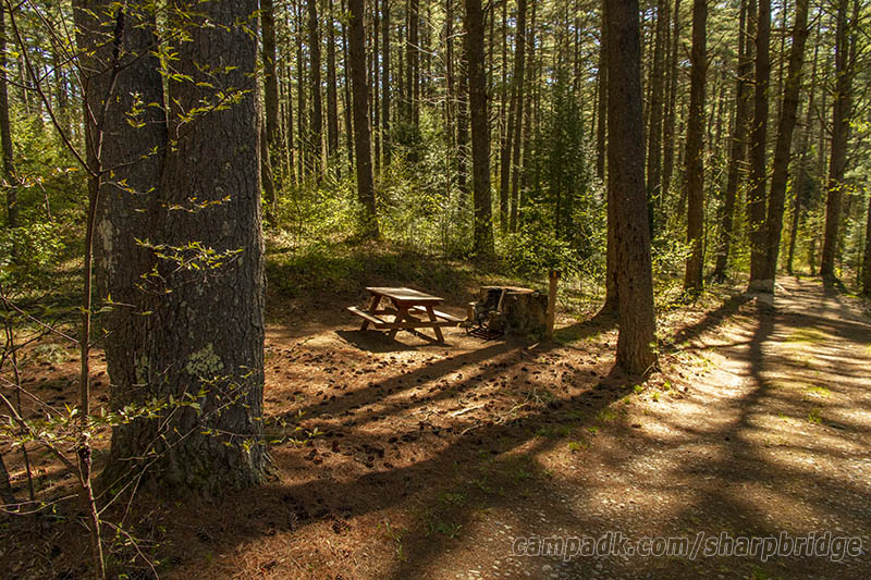 Campsite Photo of Site 5 at Sharp Bridge Campground, New York - Looking at Site from Road Sign Visible