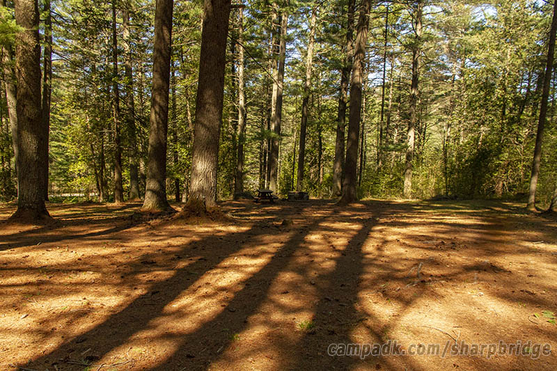 Campsite Photo of Site 15 at Sharp Bridge Campground, New York - Looking at Site from Road Sign Visible