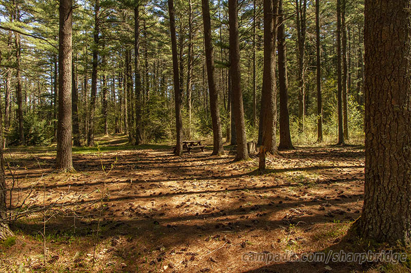 Campsite Photo of Site 20 at Sharp Bridge Campground, New York - Looking at Site from Road Sign Visible
